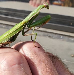 Meet your Posher, Daniel